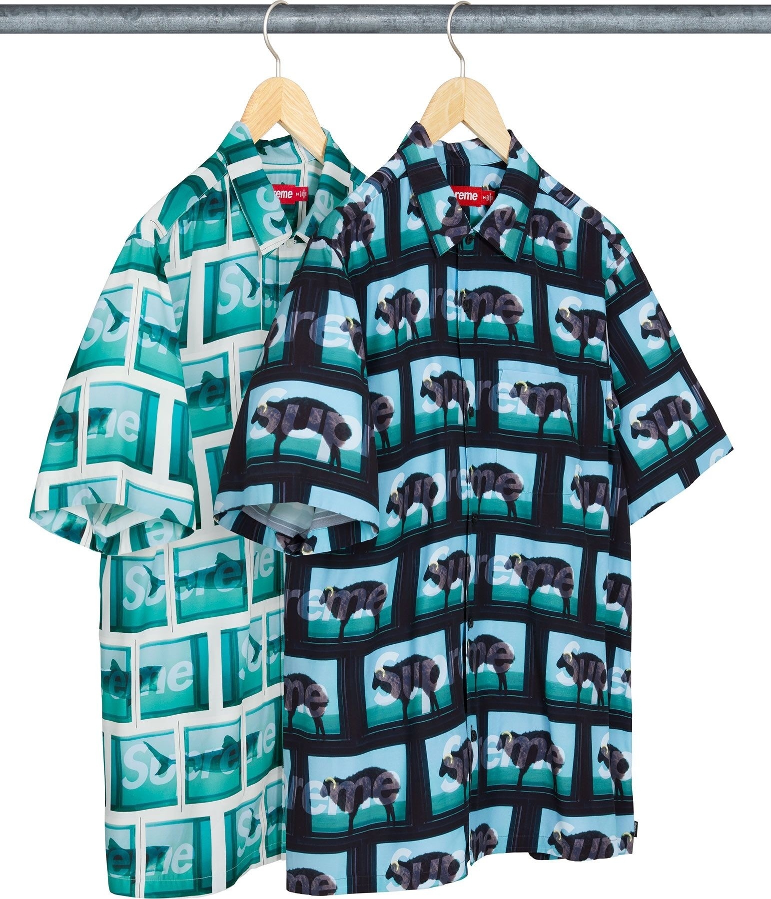 Supreme/Damien Hirst S/S Shirt